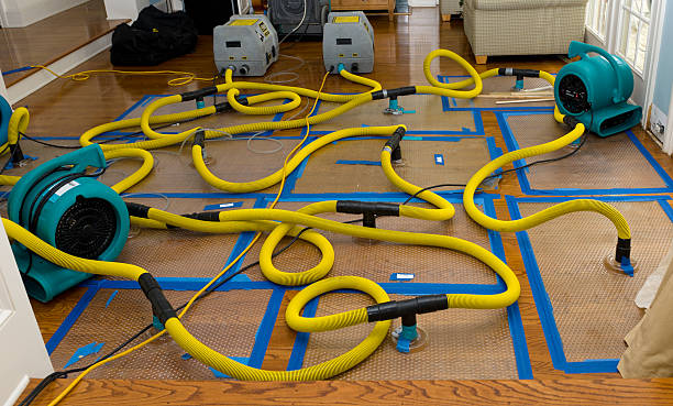 Professional Water Extraction technician working in Glenview, IL